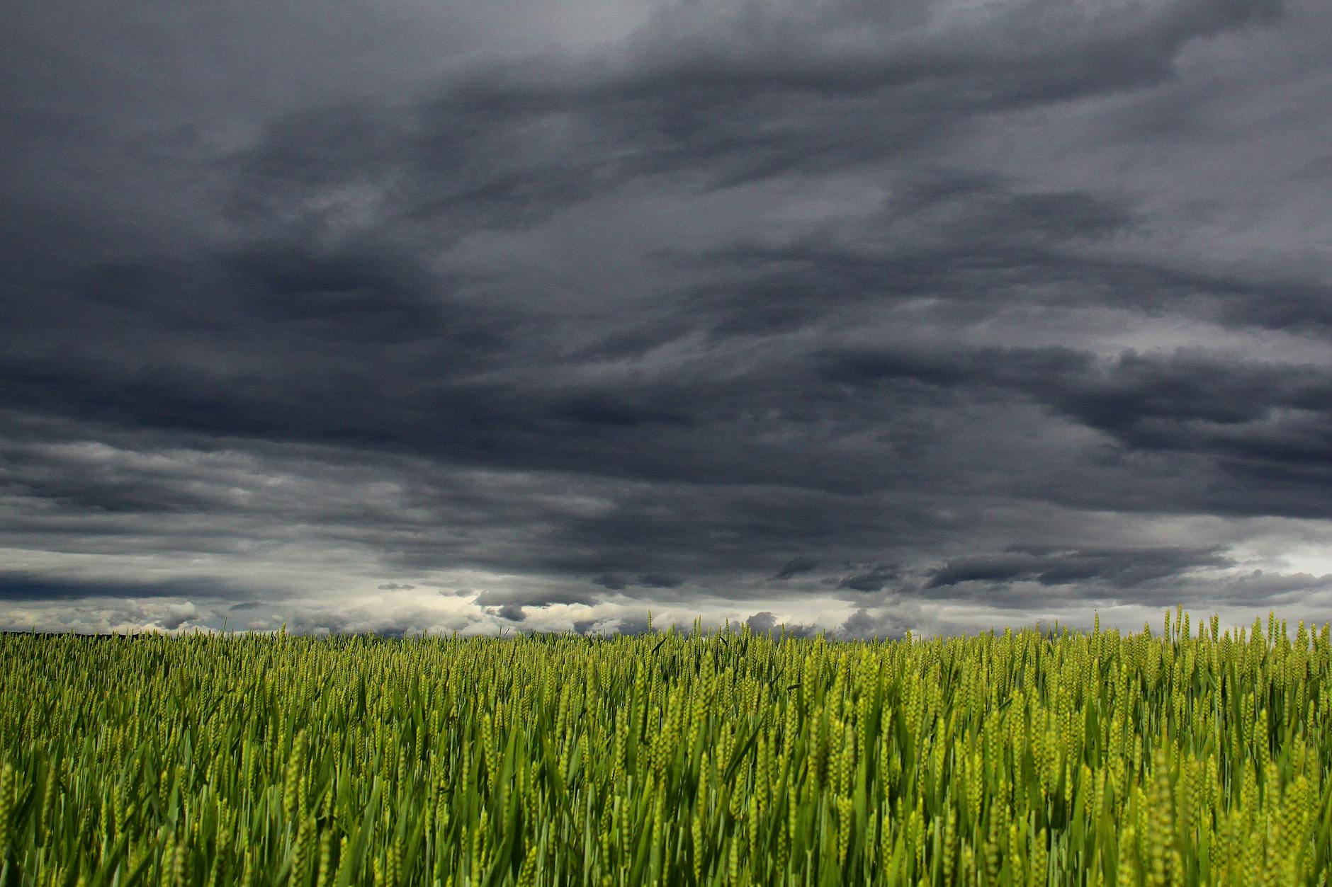 white and dark cloud over green grass field
